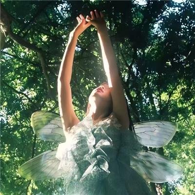 大夏镖神九岁半